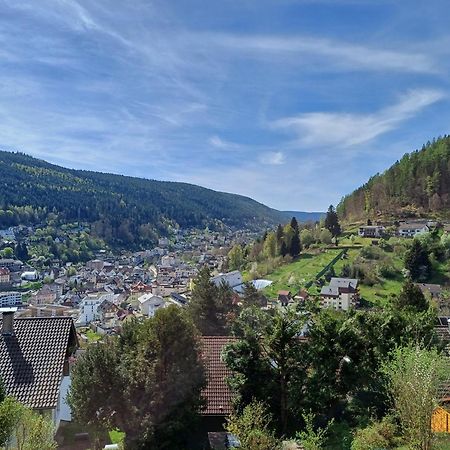 Ferienwohnung Panoramablick باد ويلباد المظهر الخارجي الصورة