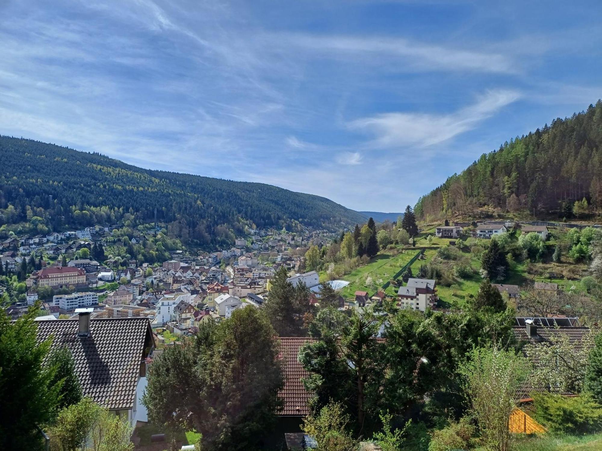 Ferienwohnung Panoramablick باد ويلباد المظهر الخارجي الصورة