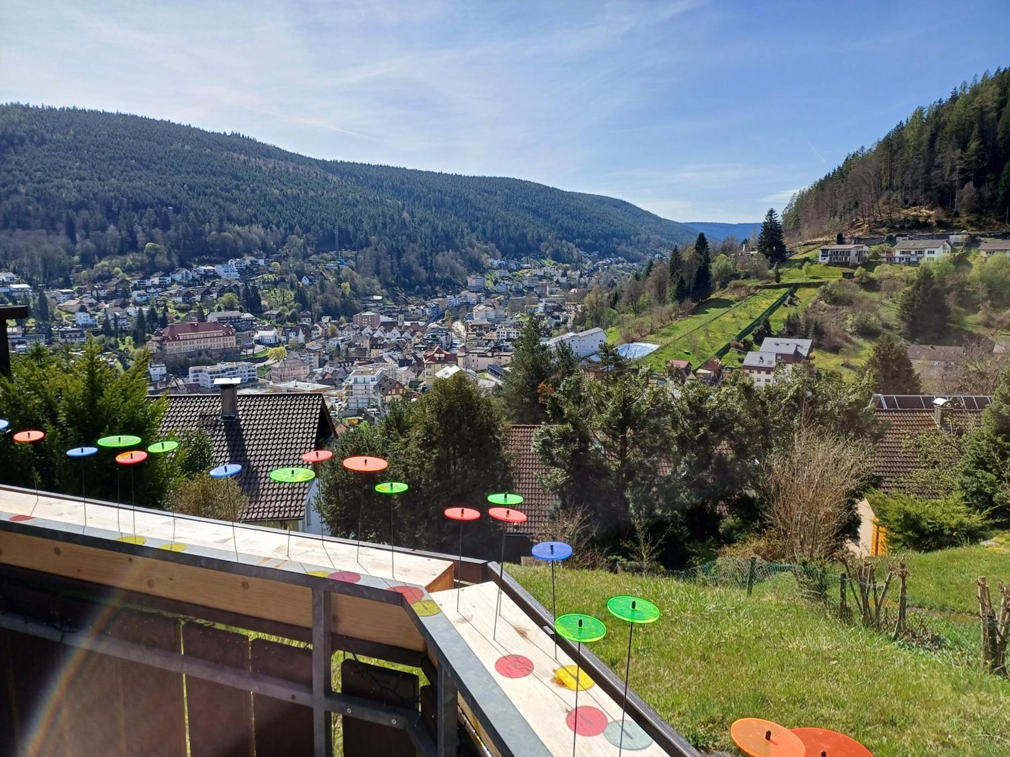 Ferienwohnung Panoramablick باد ويلباد المظهر الخارجي الصورة
