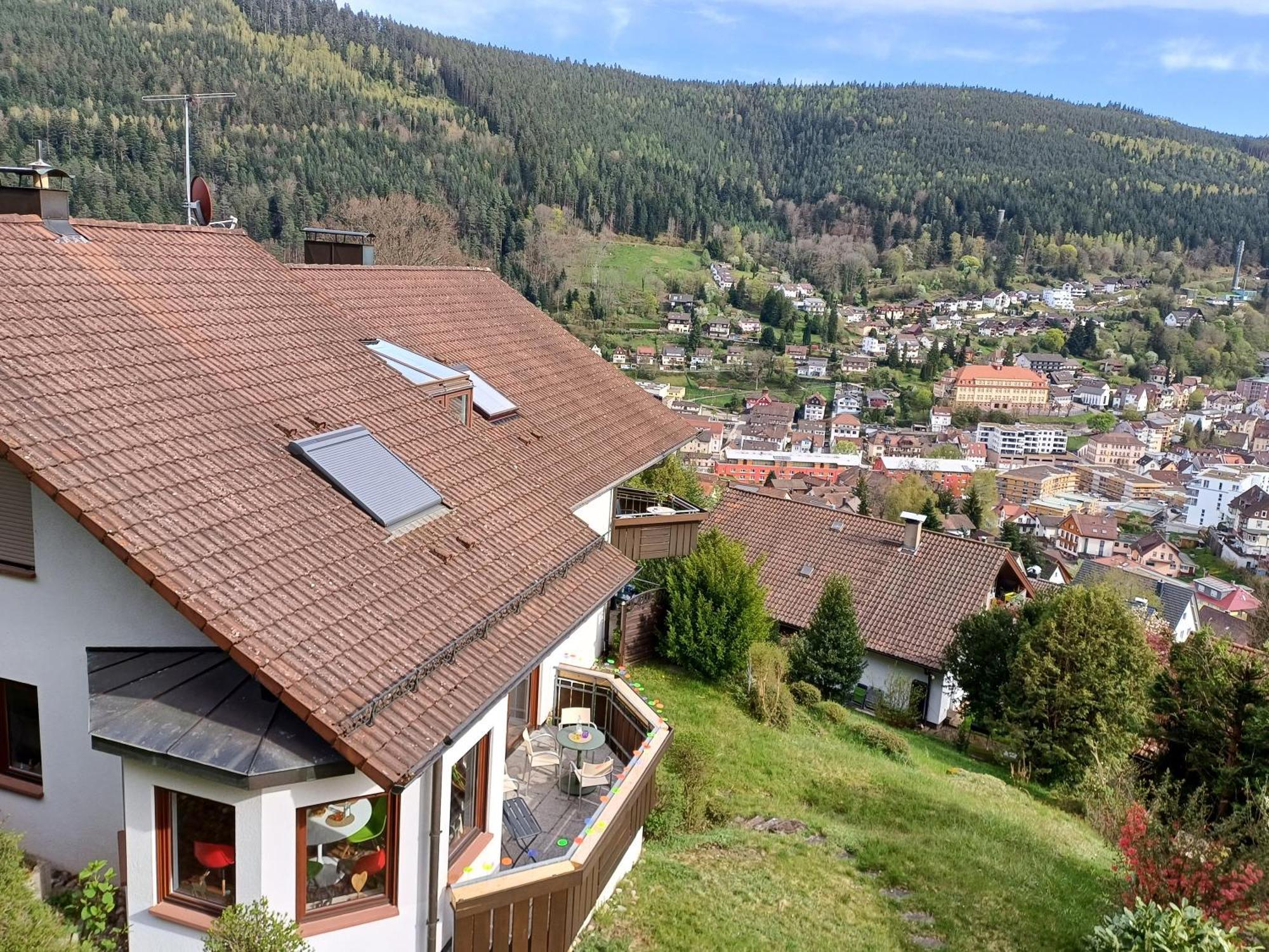 Ferienwohnung Panoramablick باد ويلباد المظهر الخارجي الصورة