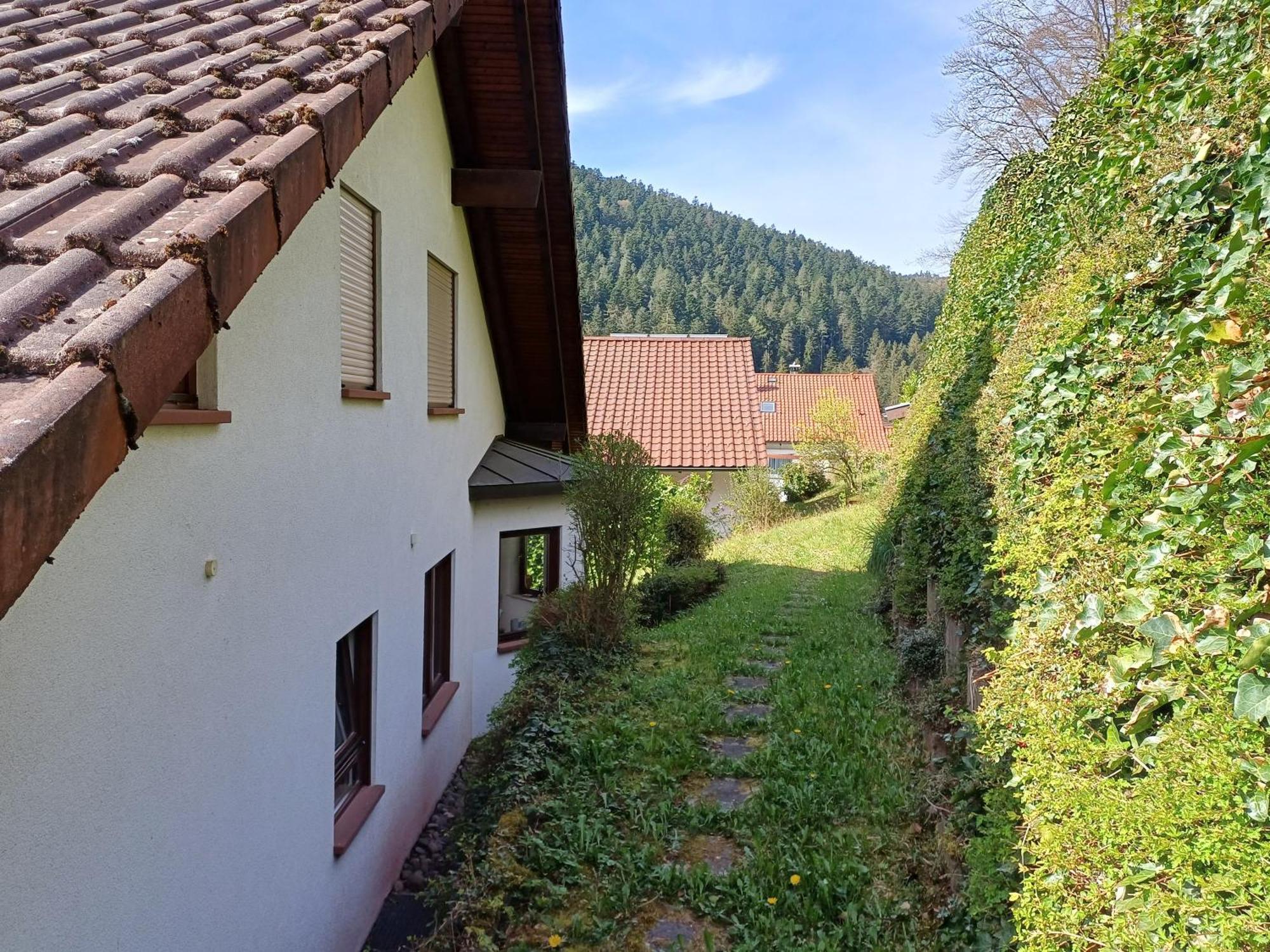 Ferienwohnung Panoramablick باد ويلباد المظهر الخارجي الصورة