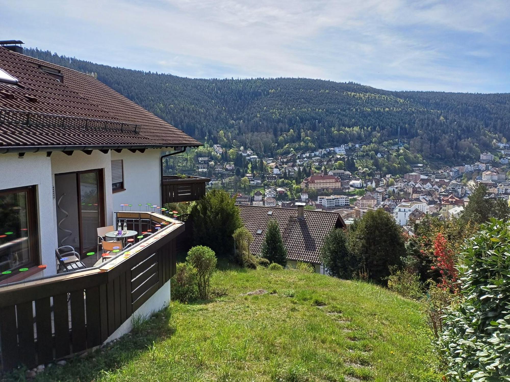 Ferienwohnung Panoramablick باد ويلباد المظهر الخارجي الصورة