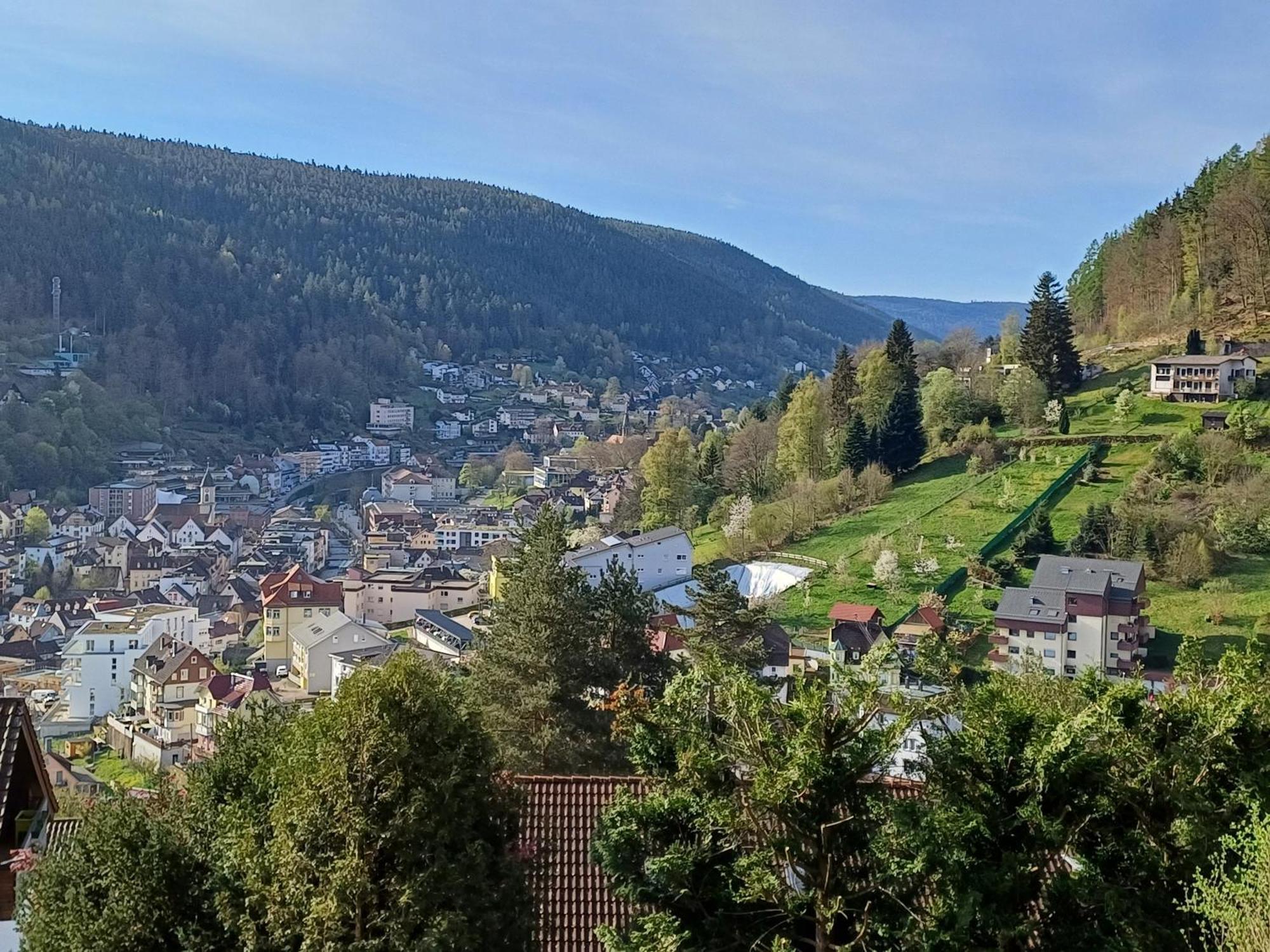 Ferienwohnung Panoramablick باد ويلباد المظهر الخارجي الصورة