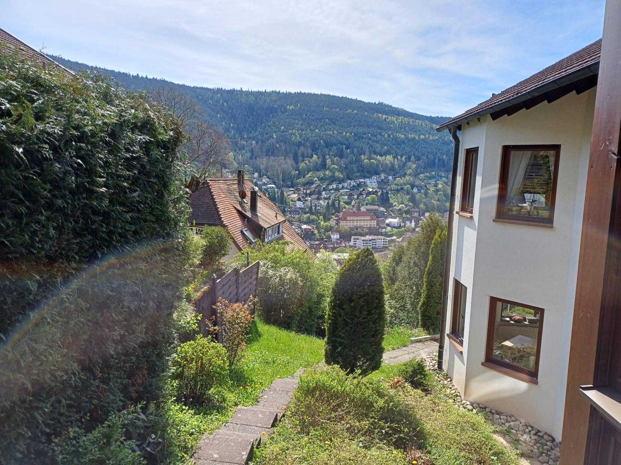 Ferienwohnung Panoramablick باد ويلباد المظهر الخارجي الصورة