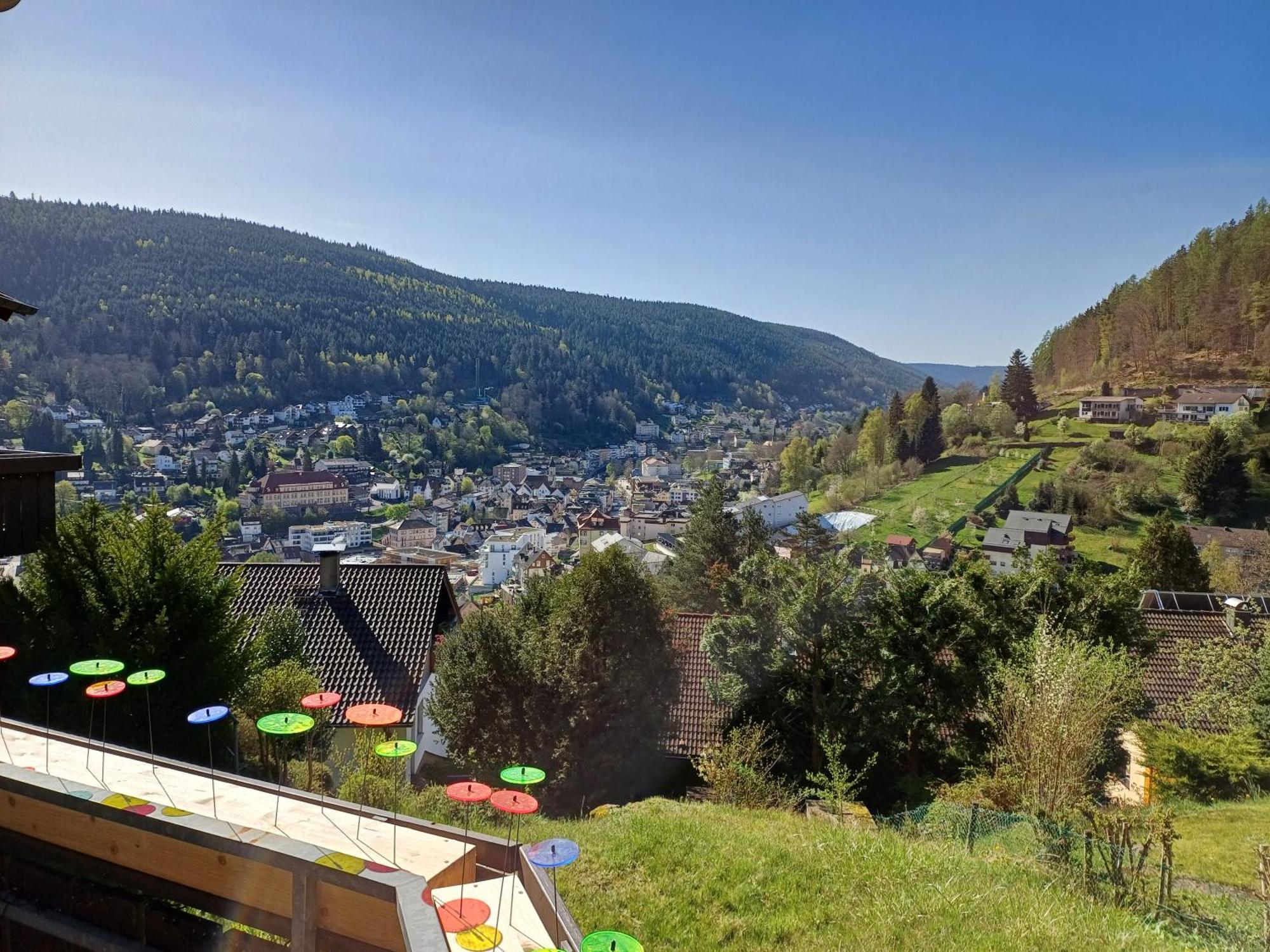 Ferienwohnung Panoramablick باد ويلباد المظهر الخارجي الصورة