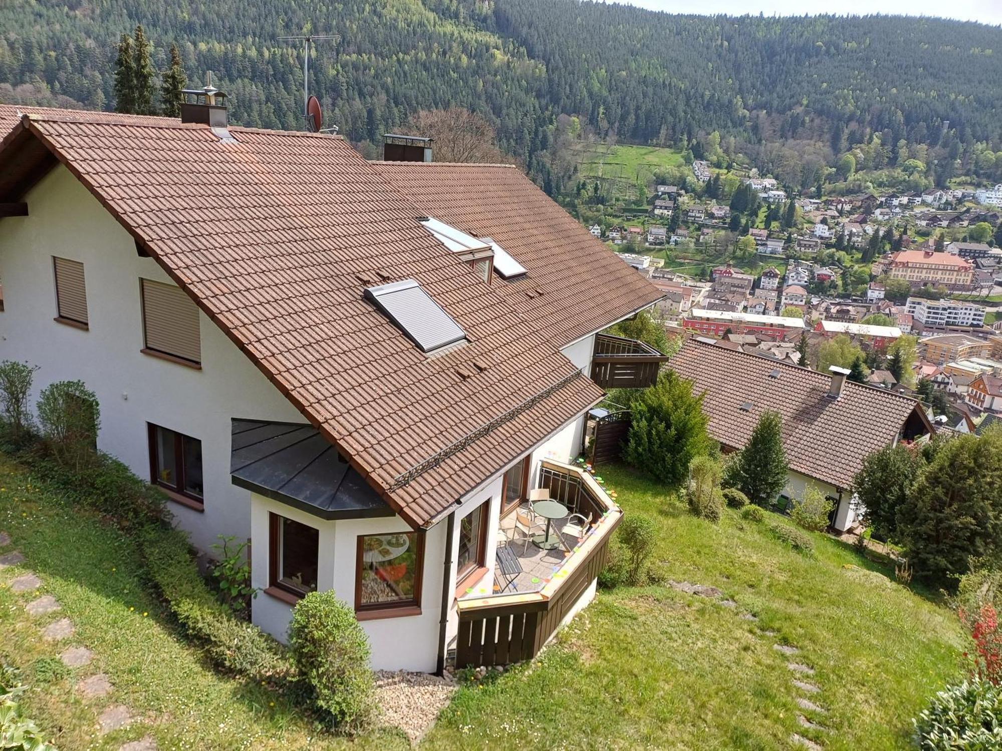 Ferienwohnung Panoramablick باد ويلباد المظهر الخارجي الصورة